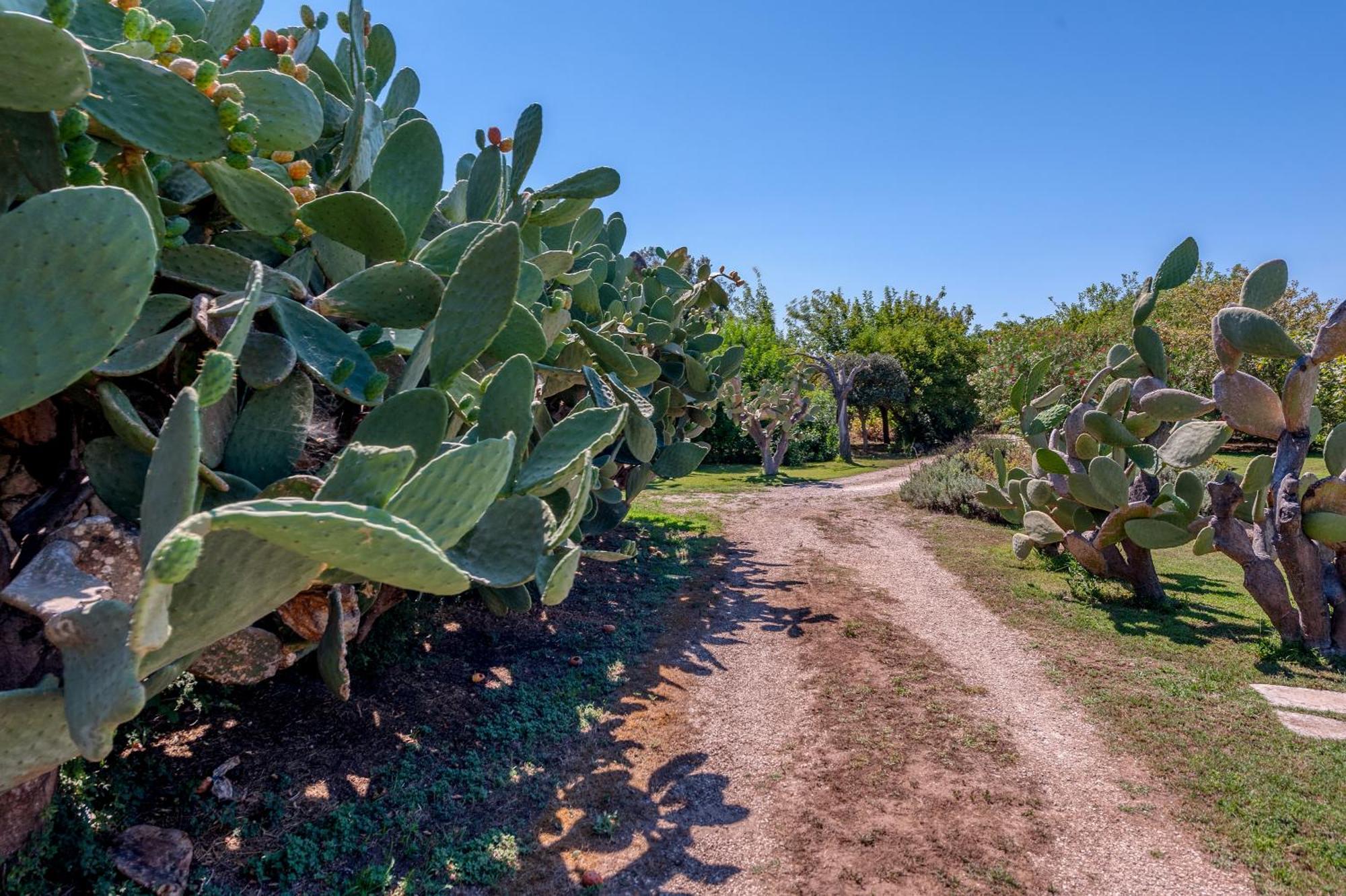 Masseria Copertini Vernole Exteriér fotografie