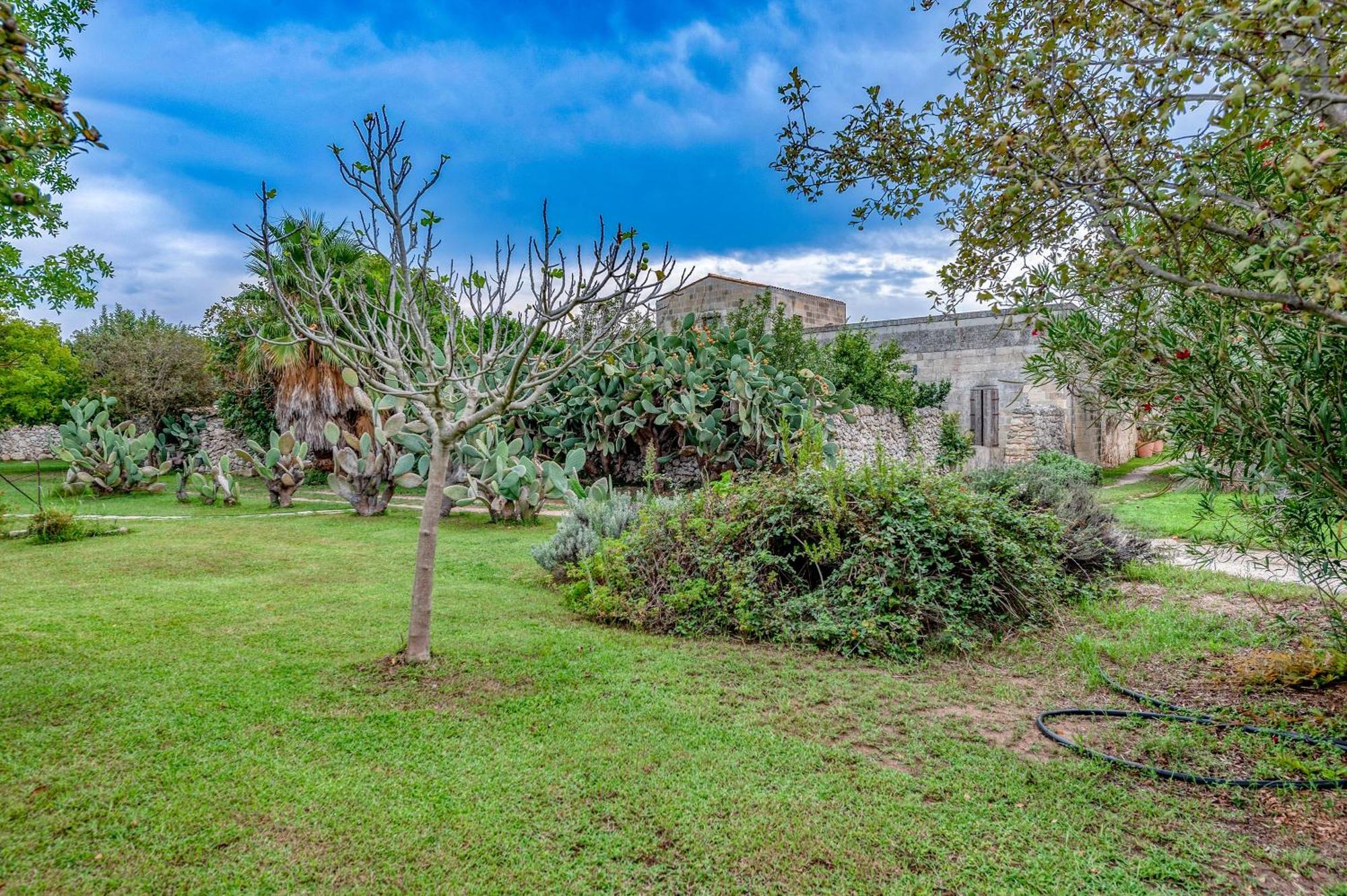 Masseria Copertini Vernole Exteriér fotografie